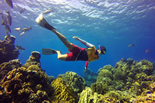 Colombia Shallows Reef: The ultimate snorkeling site