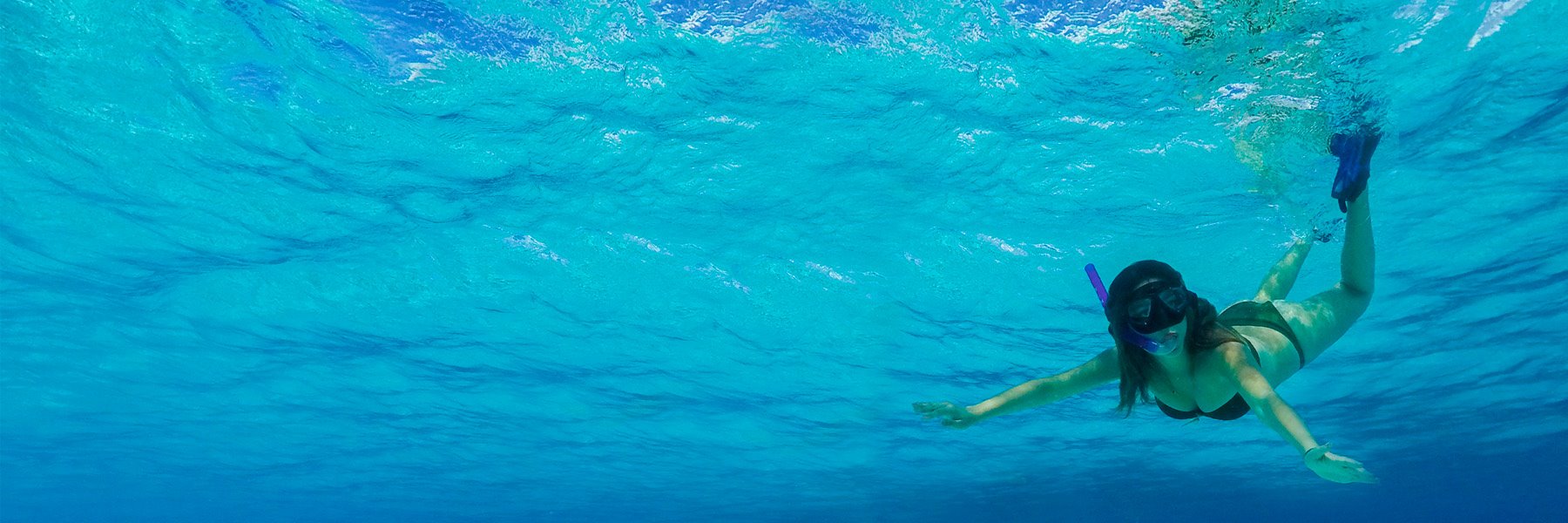 Cozumel two reefs snorkel & Playa Mia Meeting Point Playa del Carmen Pier